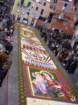 geranoinfiorata02052004016_small.jpg