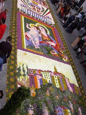 geranoinfiorata02052004018.jpg