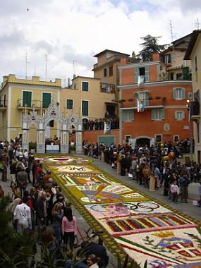 geranoinfiorata02052004019.jpg