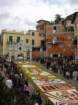 geranoinfiorata02052004019_small.jpg
