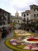geranoinfiorata02052004020_small.jpg