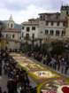 geranoinfiorata02052004021_small.jpg