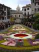 geranoinfiorata02052004022_small.jpg
