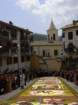geranoinfiorata02052004023_small.jpg