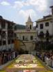 geranoinfiorata02052004025_small.jpg