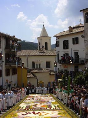 geranoinfiorata02052004026.jpg