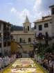 geranoinfiorata02052004026_small.jpg