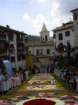 geranoinfiorata02052004027_small.jpg