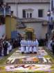 geranoinfiorata02052004028_small.jpg
