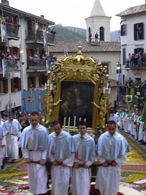 geranoinfiorata02052004030.jpg