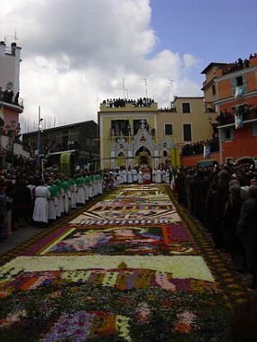 geranoinfiorata02052004037.jpg