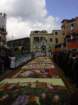 geranoinfiorata02052004037_small.jpg