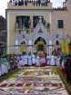 geranoinfiorata02052004038_small.jpg