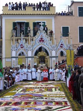 geranoinfiorata02052004039.jpg