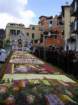 geranoinfiorata02052004041_small.jpg