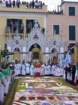 geranoinfiorata02052004042_small.jpg