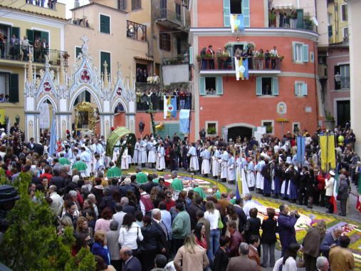 geranoinfiorata02052004045.jpg