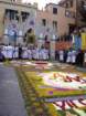 geranoinfiorata02052004047_small.jpg