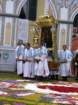 geranoinfiorata02052004050_small.jpg