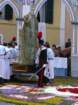 geranoinfiorata02052004051_small.jpg