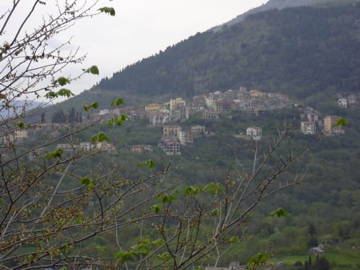 geranoinfiorata02052004059.jpg