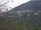 geranoinfiorata02052004059_small.jpg