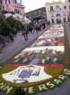 geranoinfiorata02052004066_small.jpg