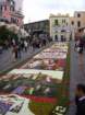 geranoinfiorata02052004067_small.jpg