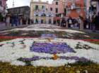 geranoinfiorata02052004070_small.jpg