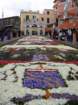 geranoinfiorata02052004071_small.jpg