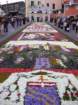 geranoinfiorata02052004072_small.jpg