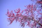 gerano01052005041_small.jpg