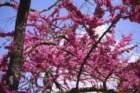 gerano01052005092_small.jpg