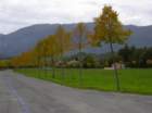gerano046_small.jpg