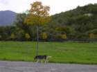 gerano047_small.jpg