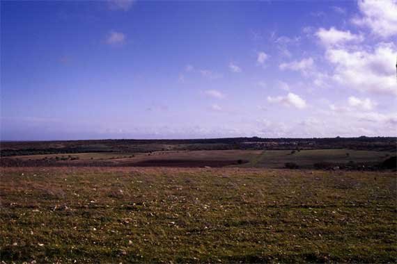 murge0006.jpg