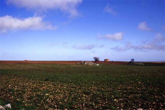 murge0009.jpg