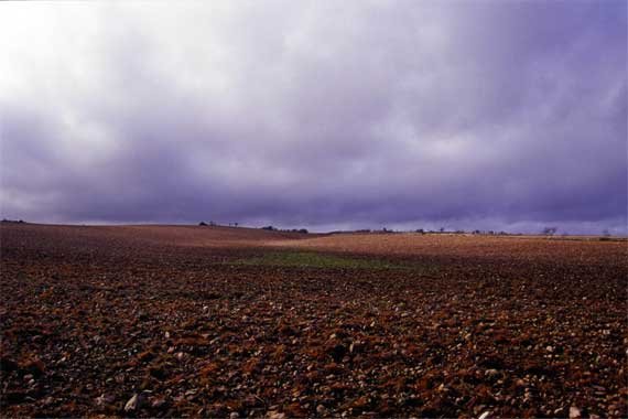 murge0010.jpg