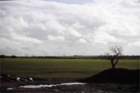 murge0016_small.jpg