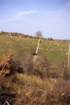 murge0017_small.jpg
