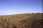 murge0018_small.jpg