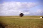 murge0020_small.jpg
