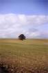 murge0021_small.jpg