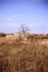 murge0023_small.jpg