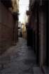 ruvodipuglia0021_small.jpg