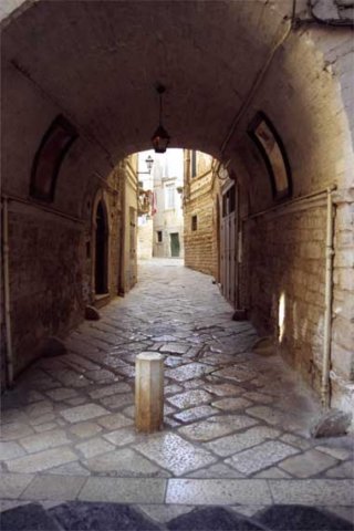ruvodipuglia0024.jpg