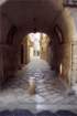 ruvodipuglia0024_small.jpg