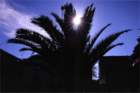 ruvodipuglia0030_small.jpg