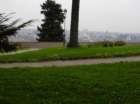 roma0009_small.jpg