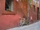 roma0010_small.jpg